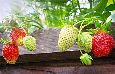 主机版《堕落之主》更新加入跨平台联机功能